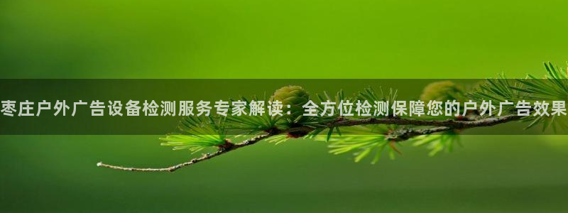杏宇平台代理怎么样赚钱：枣庄户外广告设备检测服务专家解读：全方位检测保障您的户外广告效果