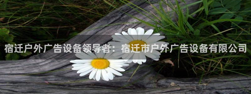 杏宇平台登陆：宿迁户外广告设备领导者：宿