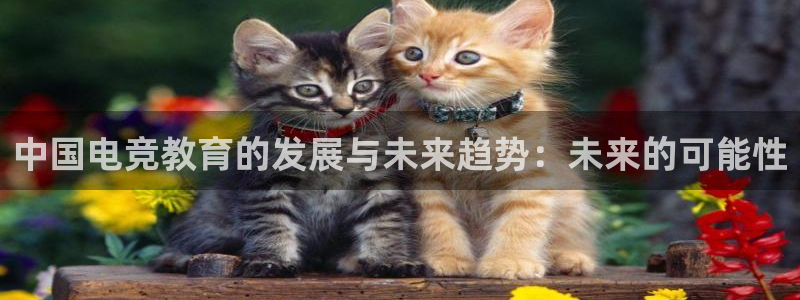 小艾电竞：中国电竞教育的发展与未来趋势：未来的可能性