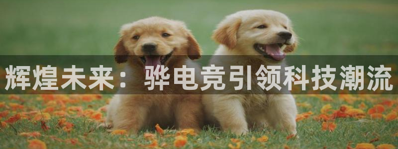小艾电竞平台