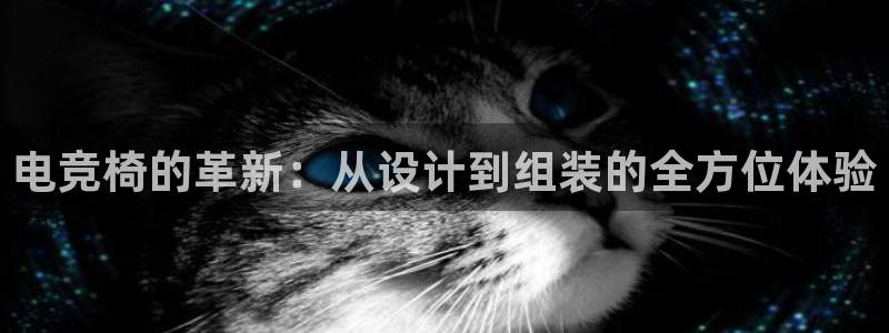 小艾电竞平台