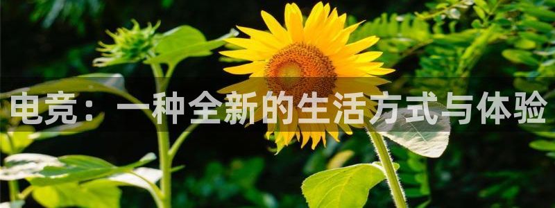 小艾电竞app下载官网