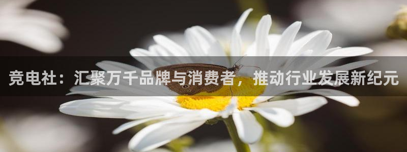 小艾电竞app下载官网