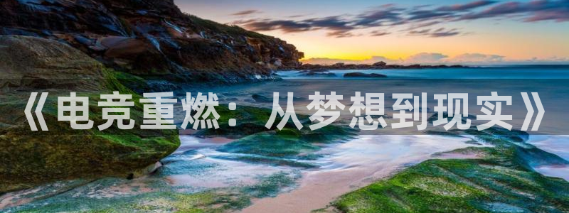 小艾电竞平台