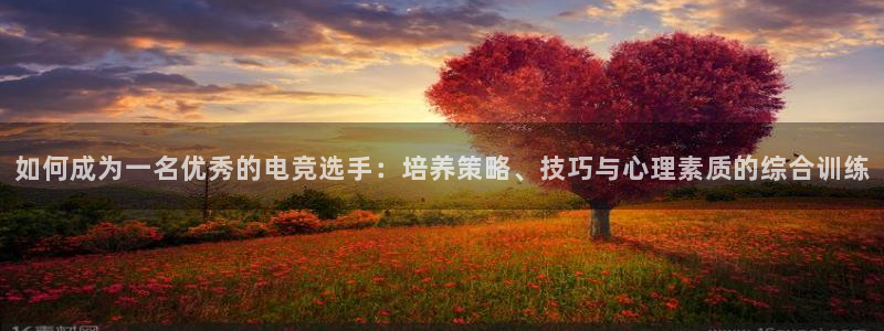 小艾电竞平台